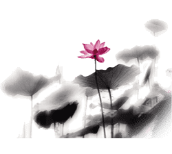 微信圖片_20190109134059.png